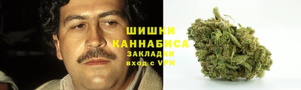 ПСИЛОЦИБИНОВЫЕ ГРИБЫ Белоозёрский