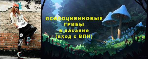 СК Белокуриха